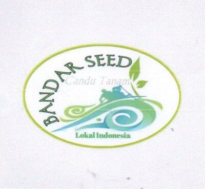 Trademark BANDAR SEED