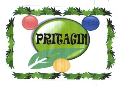 Trademark PRITAGIN