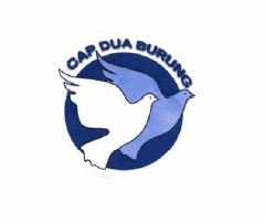 Trademark CAP DUA BURUNG + LOGO
