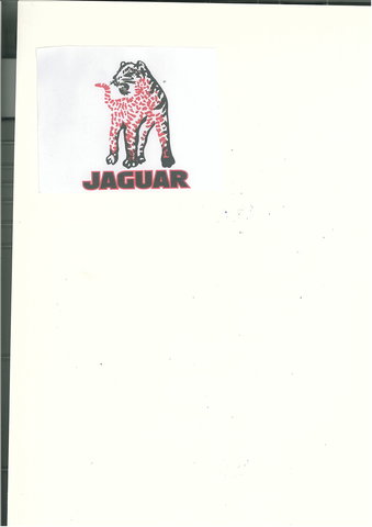 Trademark JAGUAR