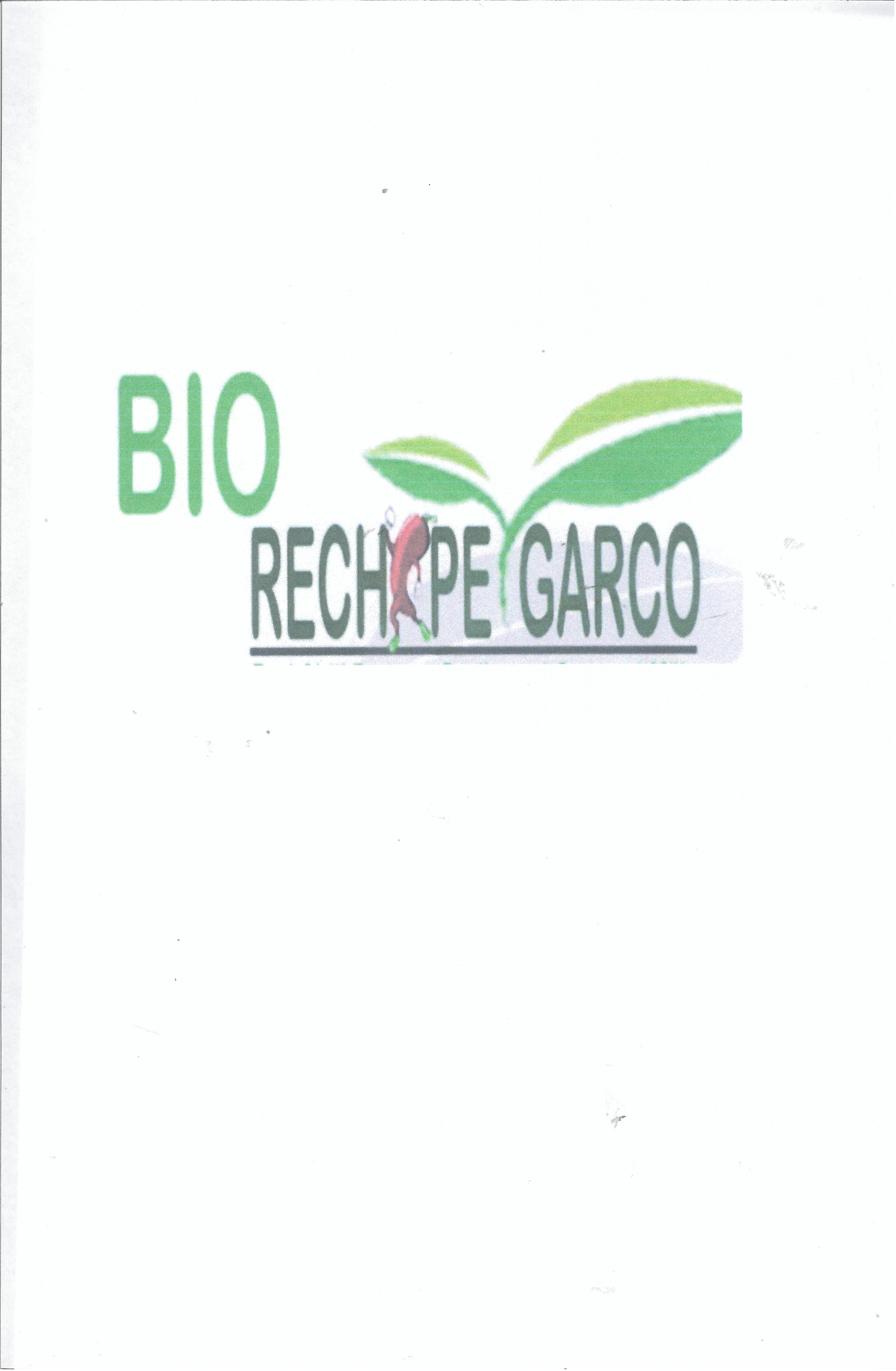 Trademark BIO RECHIPE GARCO