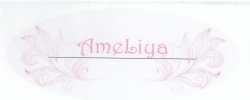 Trademark AMELIYA