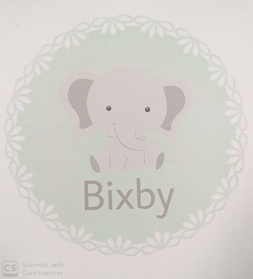 Trademark BIXBY