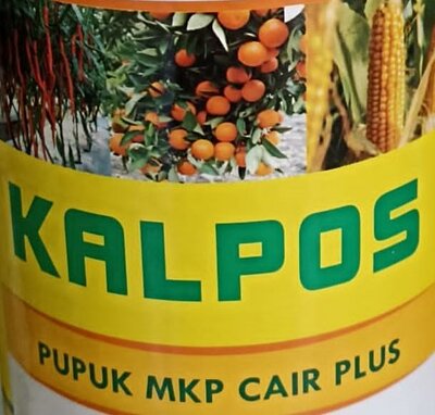 Trademark KALPOS