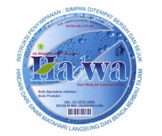 Trademark HADWA + LOGO