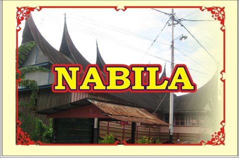 Trademark NABILA