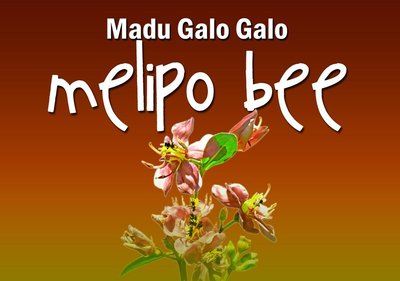 Trademark Melipo bee