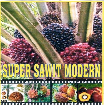 Trademark SUPER SAWIT MODERN