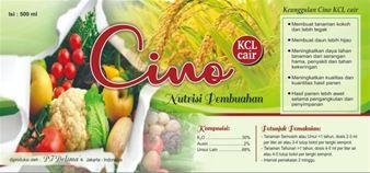 Trademark Cino KCL