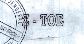 Trademark Z--TOE