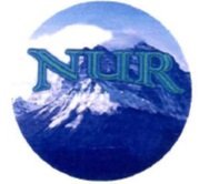 Trademark NUR + Lukisan Gunung