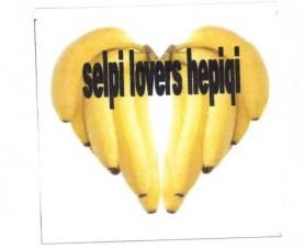 Trademark SELPI LOVERS HEPIQI + LOGO