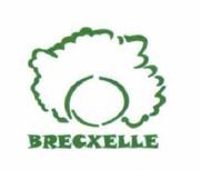 Trademark BRECXELLE + LOGO