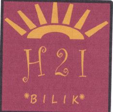 Trademark H21 BILIK + LOGO