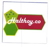 Trademark HALTHOY.CO + LOGO