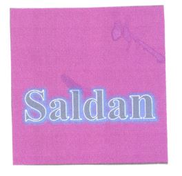 Trademark SALDAN