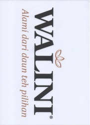 Trademark WALINI