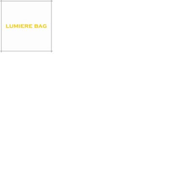 Trademark LUMIERE BAG