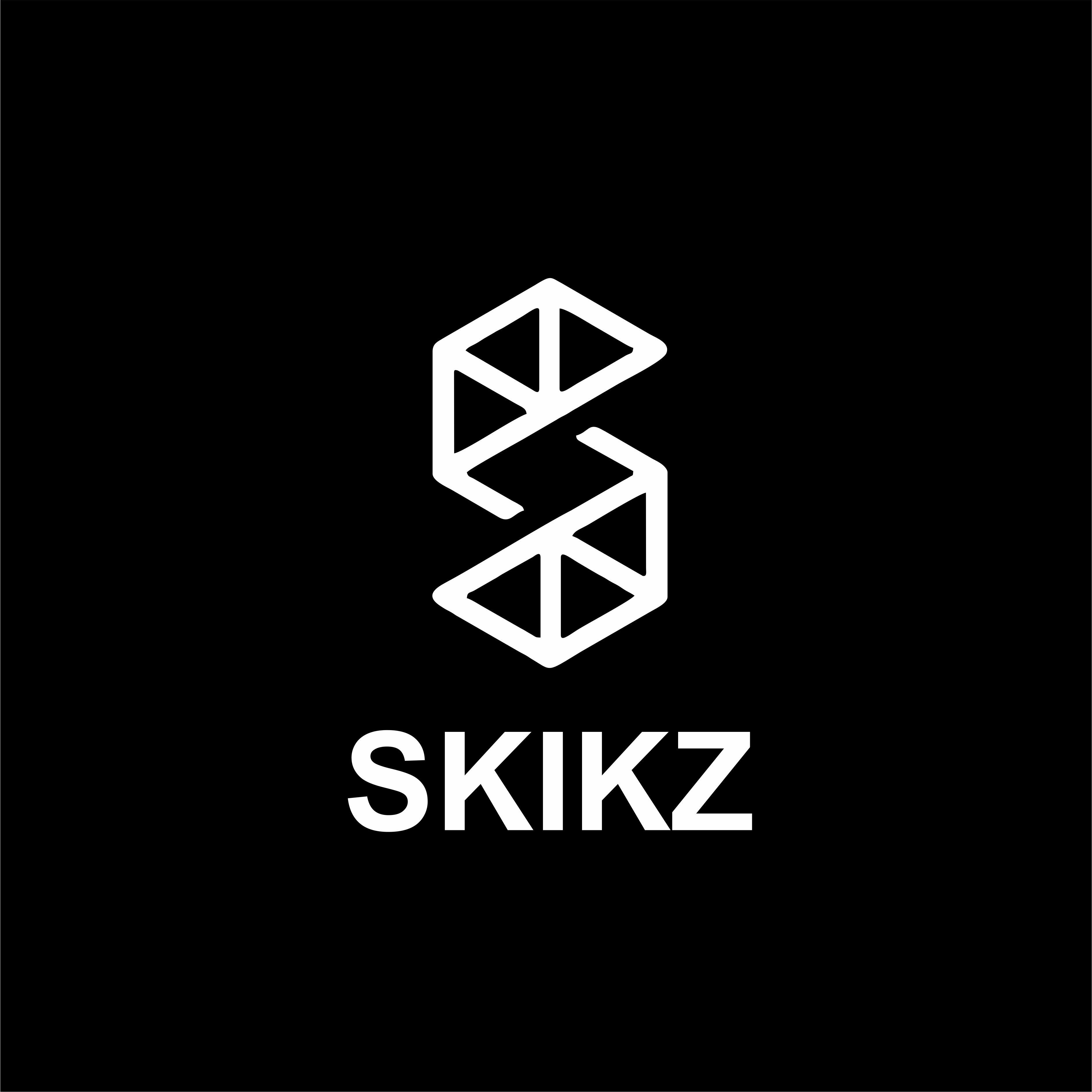 Trademark SKIKZ