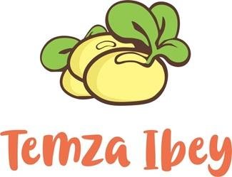 Trademark TEMZA IBEY