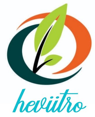 Trademark HEVIITRO