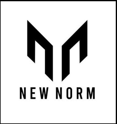 Trademark NEW NORM