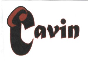 Trademark CAVIN