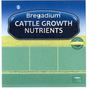 Trademark BREGADIUM CATTLE GROWTH NUTRIENTS