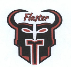 Trademark Flaster + Logo Kepala Banteng