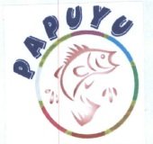 Trademark PAPUYU