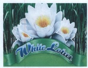 Trademark White Lotus + Logo