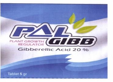 Trademark PALGIBB