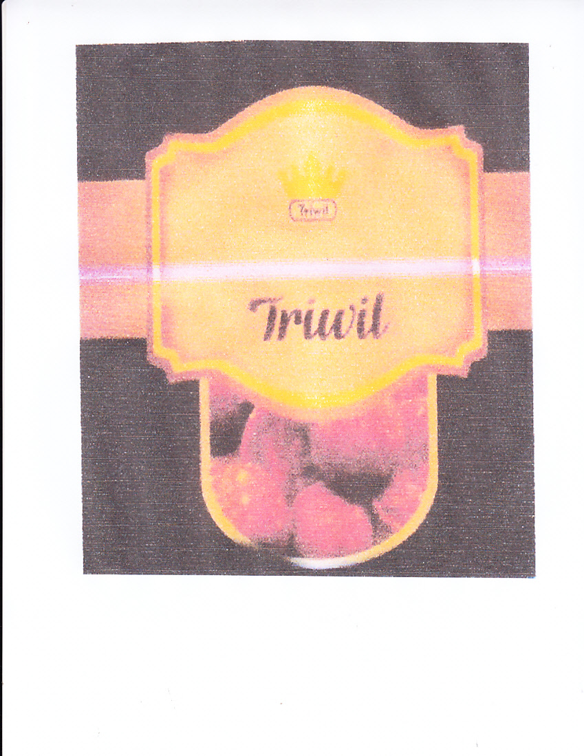 Trademark TRIWIL