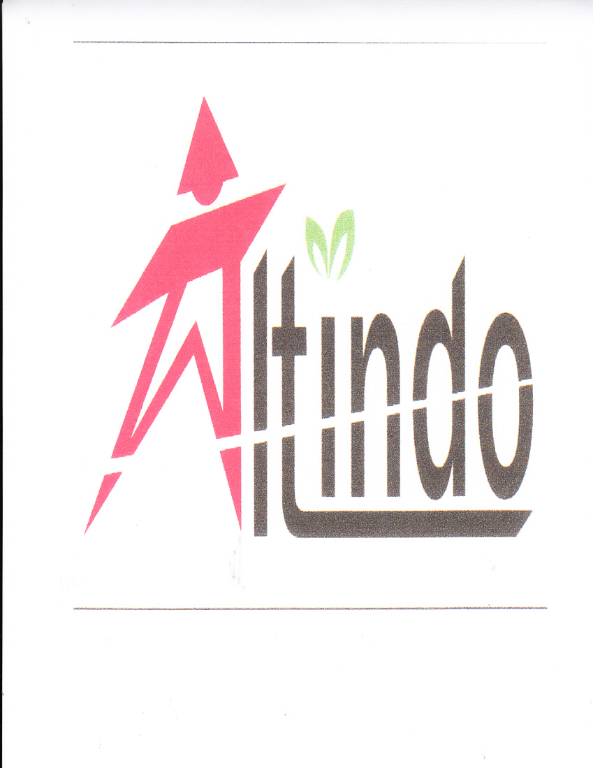 Trademark ALTINDO