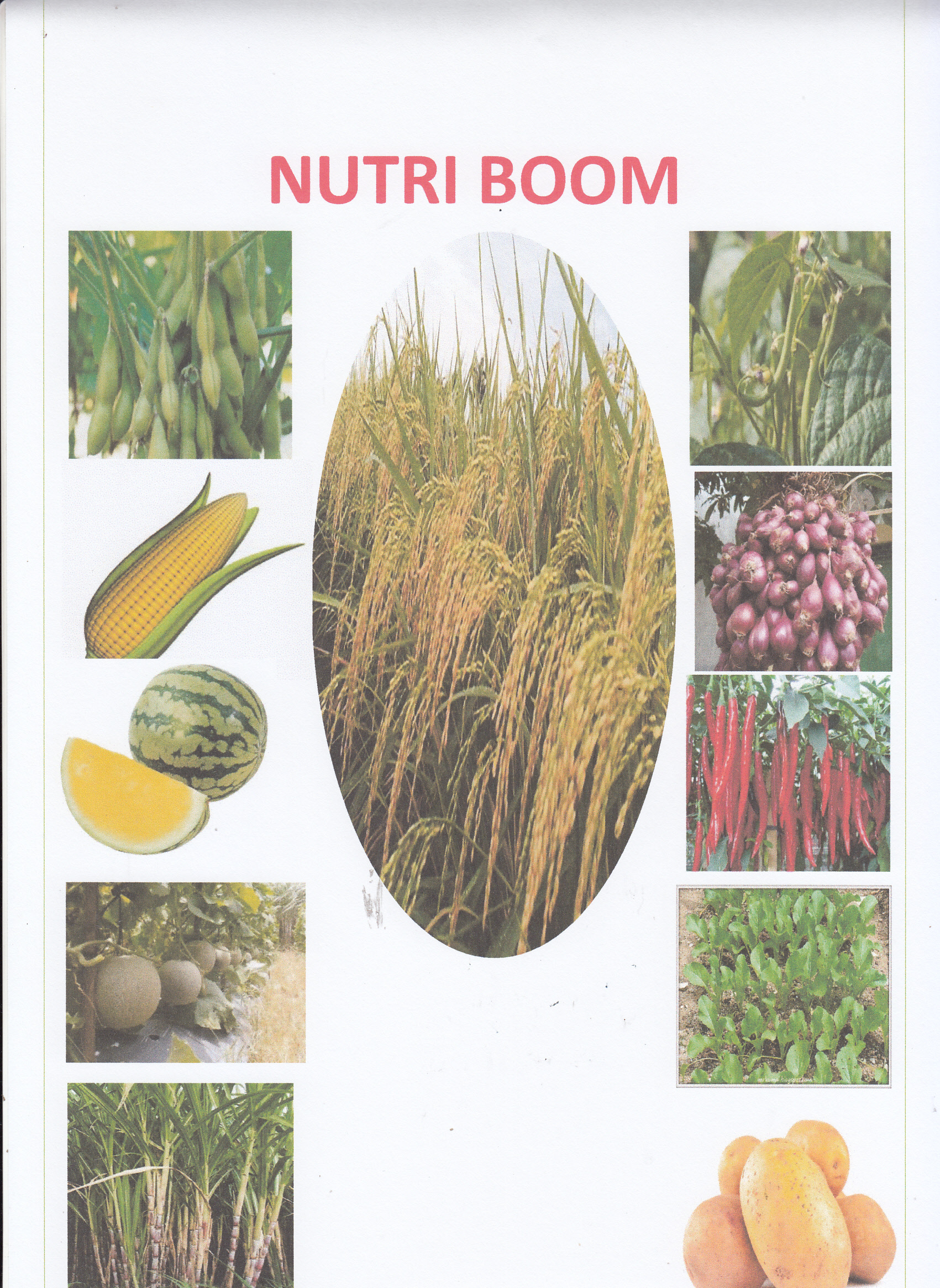 Trademark NUTRI BOOM