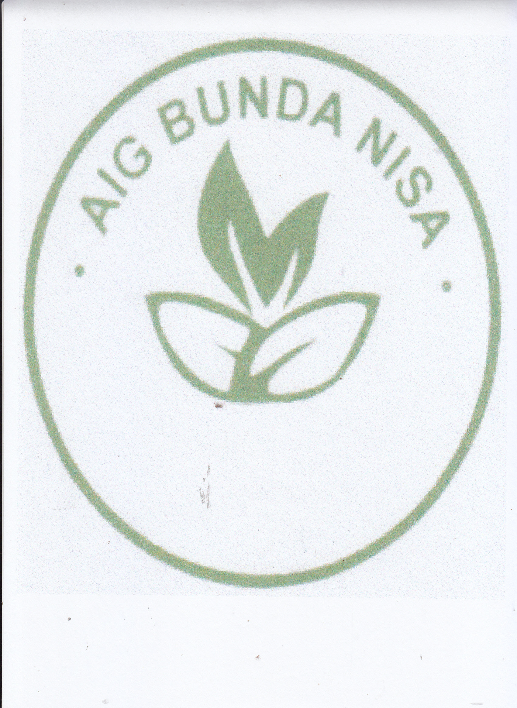 Trademark AIG BUNDA NISA + Logo