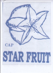 Trademark STAR FRUIT + Lukisan