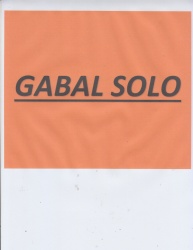 Trademark GABAL SOLO