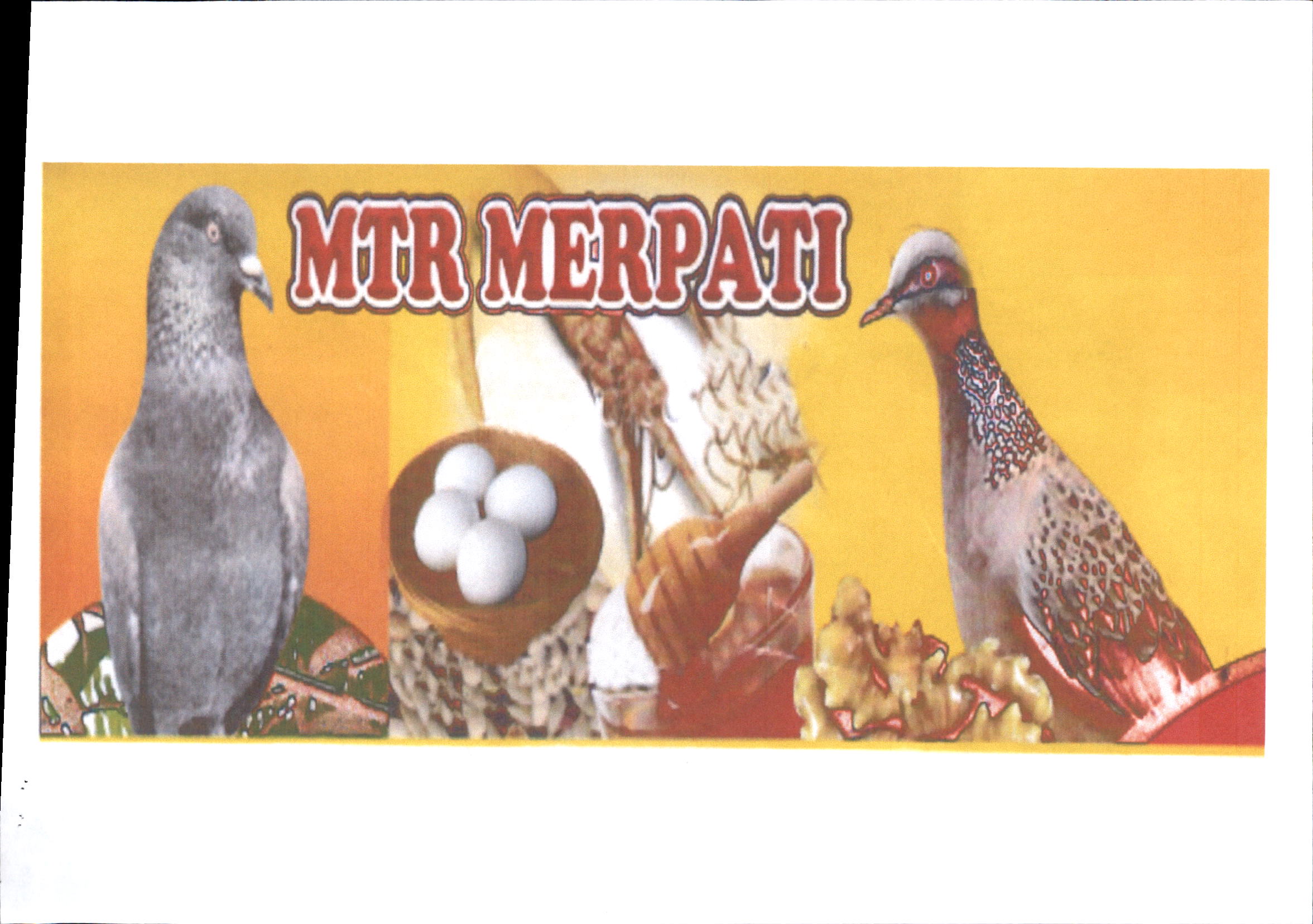 Trademark MTR MERPATI