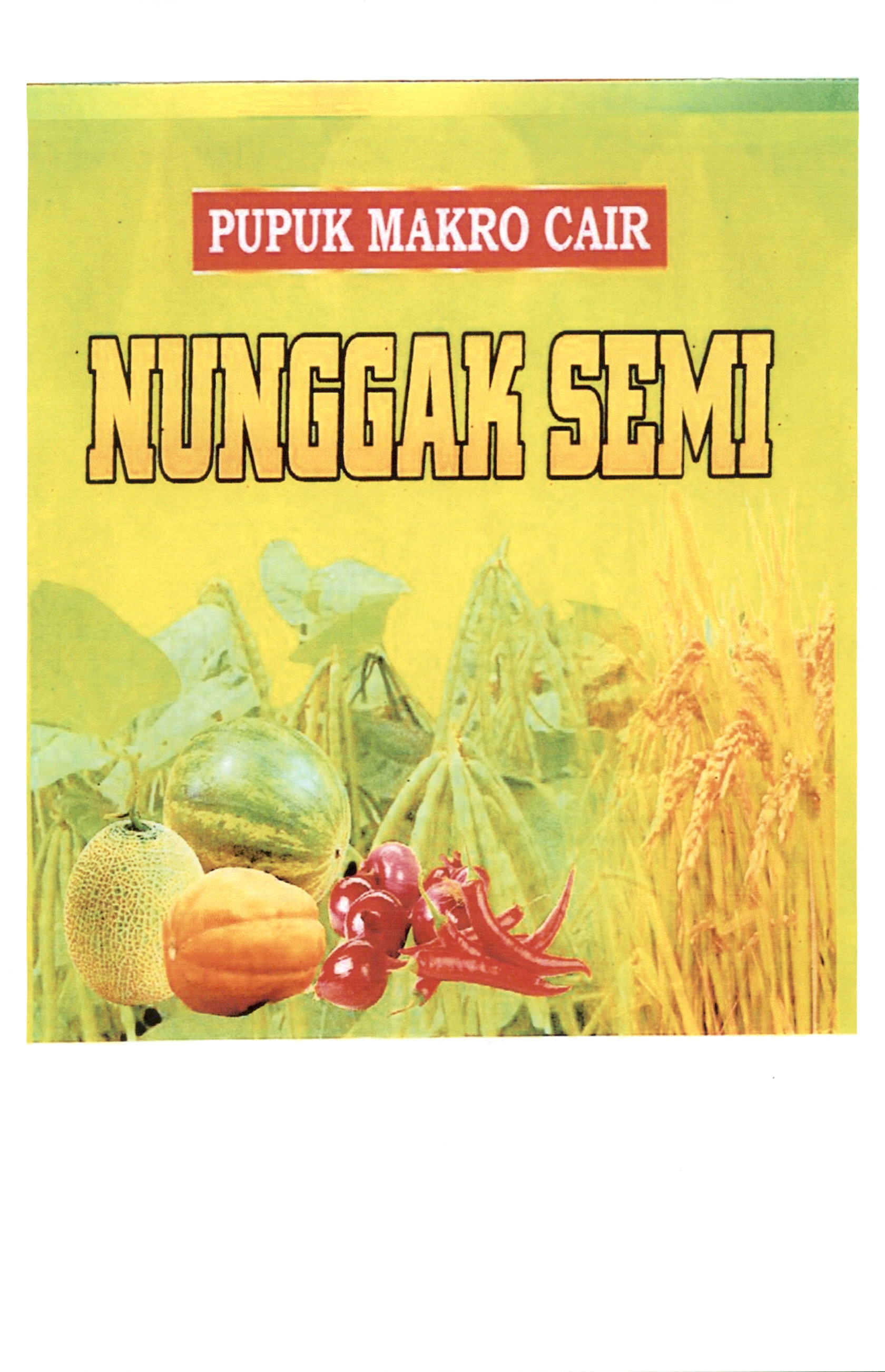 Trademark NUNGGAK SEMI