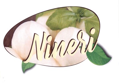 Trademark NINERI