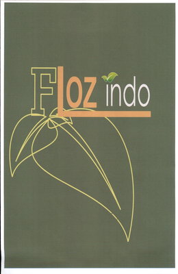 Trademark FLOZINDO