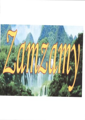 Trademark ZAMZAMY