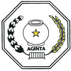 Trademark AGINTA + LOGO