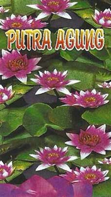 Trademark PUTRA AGUNG