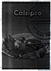 Trademark CALSIPRO