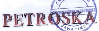 Trademark PETROSKA