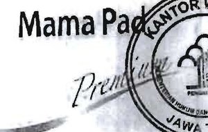 Trademark MAMA PAD Premium