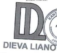 Trademark DIEVA LIANO + logo