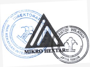 Trademark MIKRO HEXTAR